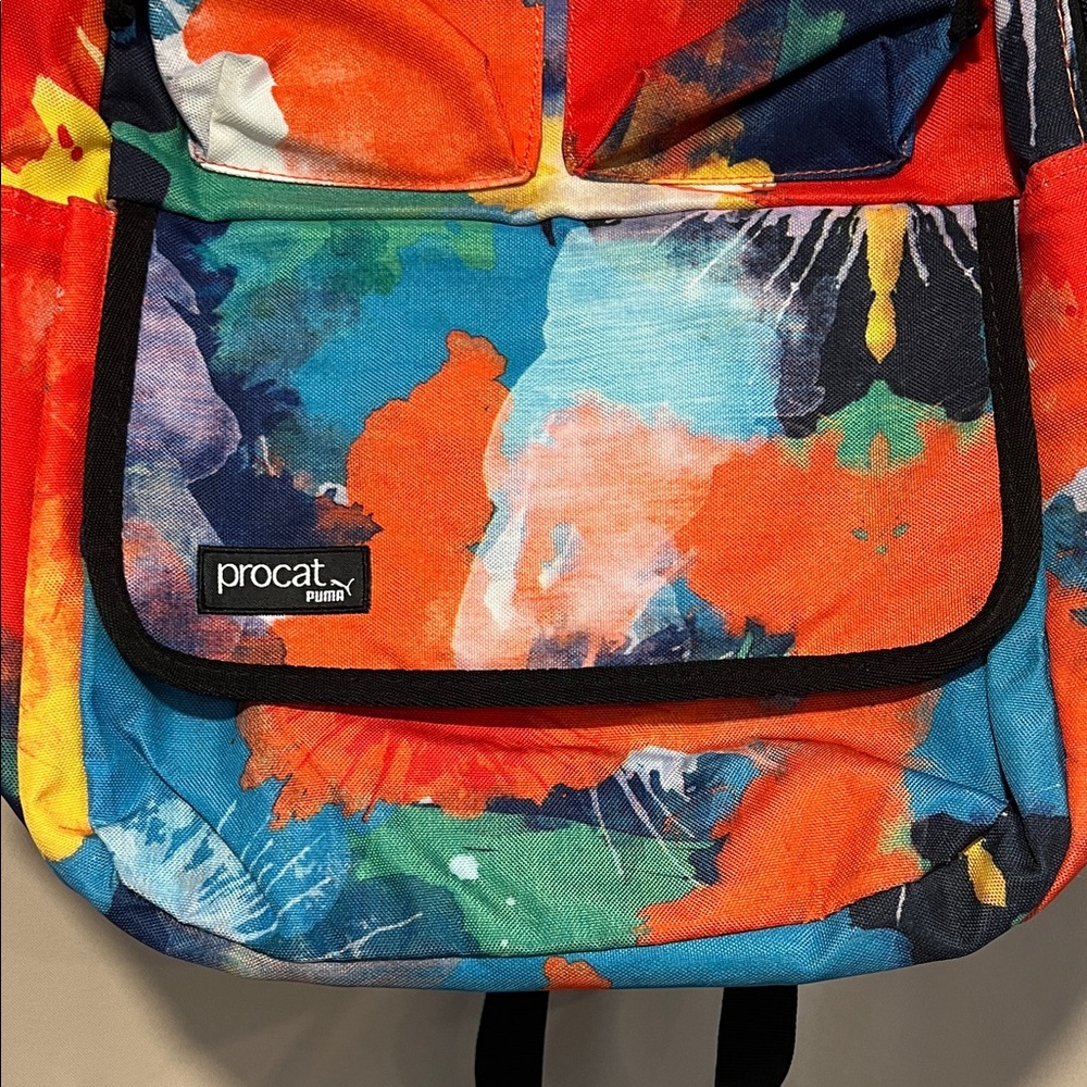Multicolor Backpack - Picture 2 of 2